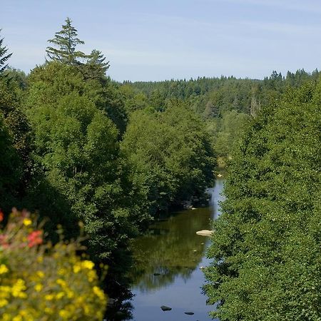 Logis Hotel Clair Matin Ле-Шамбон-сюр-Ліньон Екстер'єр фото